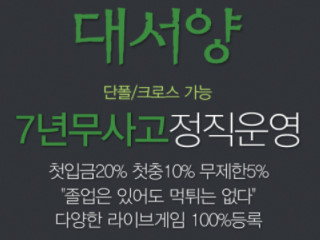 대서양 dsy147.com