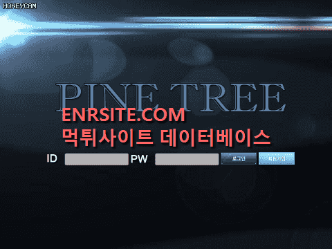 파인트리(PINETREE) pn-669.com