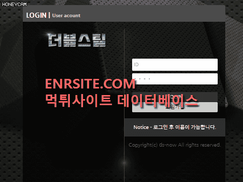 더블스틸 ds-now.com