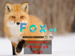 폭스.4 fox-707.com