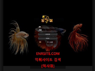 잉어 ing-99.com