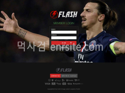 플래쉬 flash-f.com