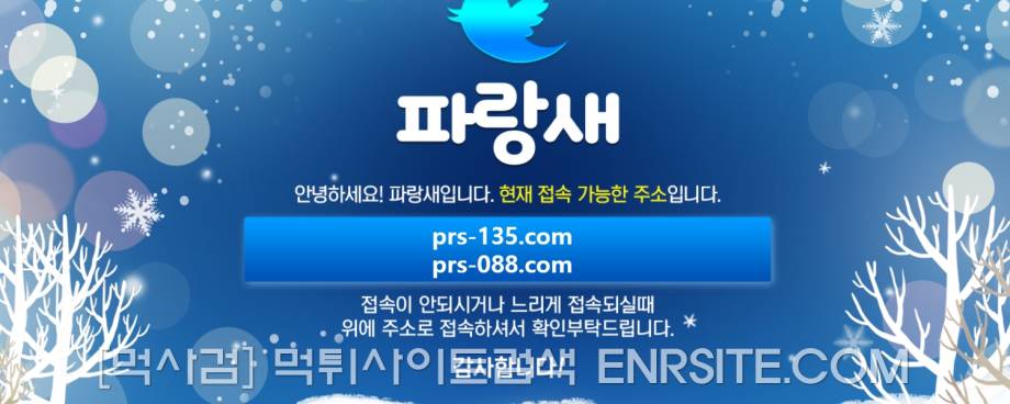 파랑새접속.com 파랑새주소.com