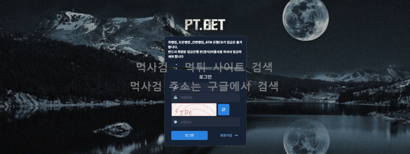 피티벳.1