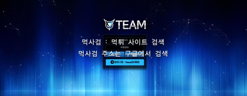 팀 TEAM