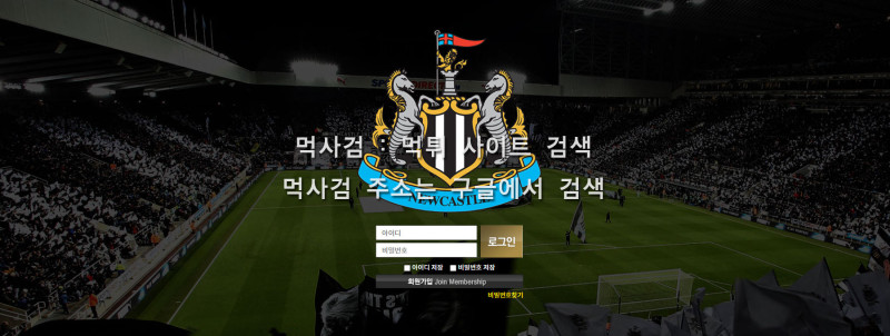 뉴캐슬 newcastle