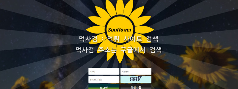 썬플라워.2.선플라워 sunflower 해바라기