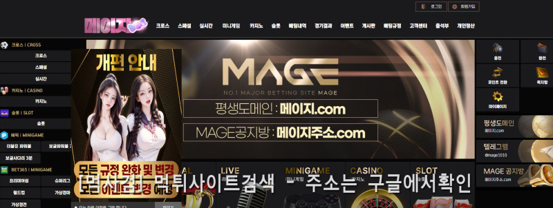 메이지 mage