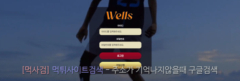 웰즈 wells 웰스