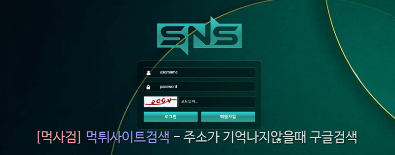 SNS 에스앤에스 에스엔에스