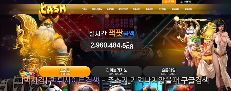 캐쉬 캐시 cash